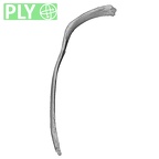 DV14-95 Homo sapiens rib tenth right ply