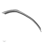 DV14-96 Homo sapiens rib tenth left superior