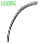 DV14-97 Homo sapiens rib eleventh right ply