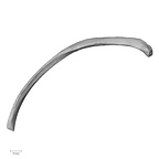 DV14-98 Homo sapiens rib eleventh left inferior