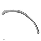 DV14-98 Homo sapiens rib eleventh left superior