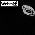 DV14-99 Homo sapiens rib twelfth left ct stack movie