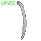 DV14-99 Homo sapiens rib twelfth left ply