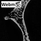 DV15-42 Homo sapiens cervical vertebra sixth ct stack movie