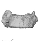 DV15-44 Homo sapiens cervical vertebra seventh anterior