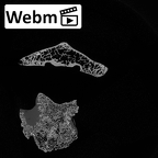 DV15-47 Homo sapiens thoracic vertebra third ct stack movie