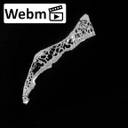 DV15-53 Homo sapiens thoracic vertebra ninth ct stack movie