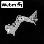 DV15-56 Homo sapiens thoracic vertebra eleventh ct stack movie