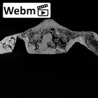 DV15-64 Homo sapiens sacrum ct stack movie