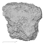 DV15-65 Homo sapiens sternum anterior