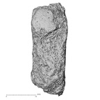 DV15-65 Homo sapiens sternum lateral