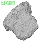 DV15-65 Homo sapiens sternum ply