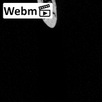 DV15-67 Homo sapiens rib first left ct stack movie