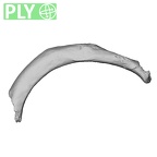 DV15-72 Homo sapiens rib fourth right ply