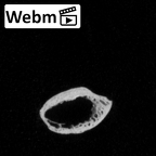 DV15-73 Homo sapiens rib fourth left ct stack movie