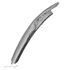 DV15-74 Homo sapiens rib fourth left inferior