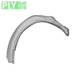 DV15-75 Homo sapiens rib fifth right ply