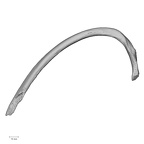 DV15-77 Homo sapiens rib sixth right superior