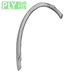 DV15-77 Homo sapiens rib sixth right ply