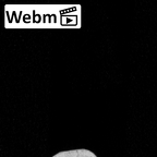 DV15-78 Homo sapiens rib sixth left ct stack movie