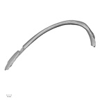 DV15-79 Homo sapiens rib seventh right superior