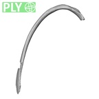 DV15-79 Homo sapiens rib seventh right ply