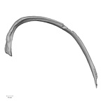 DV15-82 Homo sapiens rib eighth right inferior