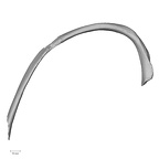 DV15-82 Homo sapiens rib eighth right superior