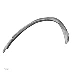 DV15-85 Homo sapiens rib ninth left inferior