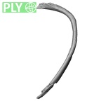 DV15-85 Homo sapiens rib ninth left ply
