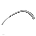 DV15-88 Homo sapiens rib eleventh right superior