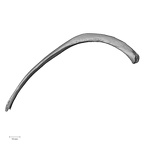 DV15-89 Homo sapiens rib eleventh left inferior