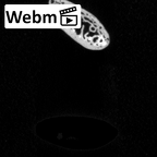 DV15-90 Homo sapiens rib twelfth right ct stack movie