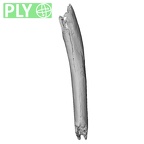 DV15-91 Homo sapiens rib ply