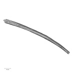 DV15-92 Homo sapiens rib inferior