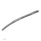 DV15-92 Homo sapiens rib superior