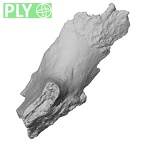 DV16-104 Homo sapiens os coxae right ply