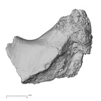 DV16-107 Homo sapiens os coxae left view 1