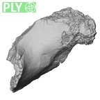 DV16-107 Homo sapiens os coxae left ply