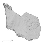 DV16-108 Homo sapiens os coxae left view 1