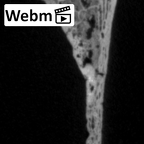 DV16-108 Homo sapiens os coxae left ct stack movie