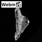 DV16-109 Homo sapiens os coxae left ct stack movie