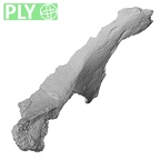 DV16-111 Homo sapiens os coxae left ply