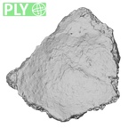 DV16-112 Homo sapiens os coxae ply