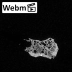 DV16-158 Homo sapiens vertebra ct stack movie
