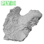 DV16-160 Homo sapiens vertebra ply