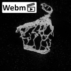 DV16-165 Homo sapiens vertebra ct stack movie