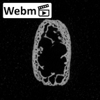 DV16-168 Homo sapiens vertebra ct stack movie