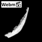 DV16-170 Homo sapiens pelvic fragment ct stack movie