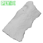 DV16-170 Homo sapiens pelvic fragment ply